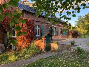 Κήπος έξω από το Elbferienhaus-an-der-Elbe