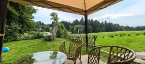 a table and chairs under an umbrella in a field at Landhaus auf der Alm in Langschlag