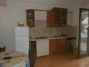 Kuchyň nebo kuchyňský kout v ubytování Apartments Gorenjka