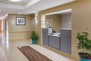 グリーンズボロにあるComfort Inn Greensboro - Kernersvilleのロビーに植物が置かれた病院の廊下