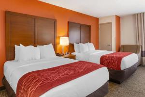 グリーンズボロにあるComfort Inn Greensboro - Kernersvilleのオレンジ色の壁のホテルの部屋にはベッドが2つある