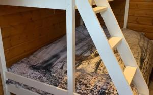 a bunk bed in a room at Chalet Du Val 53 in Durbuy