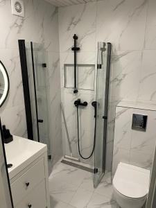 Et badeværelse på Apartment near old town