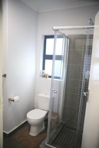 une salle de bain avec toilettes et douche en verre dans l'établissement Sarona Habitat Urban Escape 1 Bedroom Apartment, à Gaborone 4 autres photos