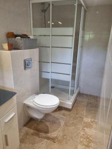 Un baño con inodoro y ducha de cristal. en L'ombre du vent, en Contes