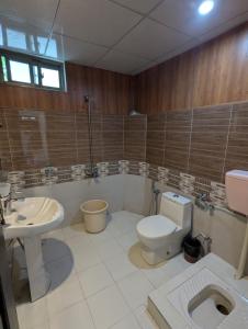a bathroom with a toilet and a sink at Punjab Hotel and Resort in Sumaiyar