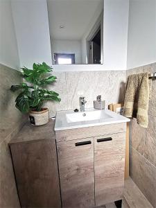 a bathroom with a sink and a potted plant at Villa Casa Segunda in Lliria