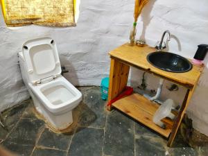 a bathroom with a toilet and a sink at Spiti Eco Domes in Kaza