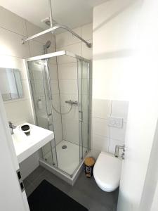 バート・キッシンゲンにあるSanssouci-FeWo 13のシャワー、トイレ、洗面台を備えたバスルーム