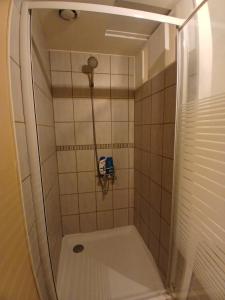 ソスペルにあるCharmant appartement dans une villaのガラスドア付きのシャワー付きのバスルーム