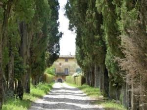 a road lined with trees in front of a building at Tuscan Charm Near Volterra in Volterra