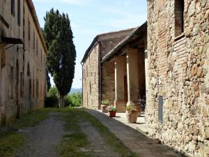 an alley between two stone buildings with potted plants at Tuscan Charm Near Volterra in Volterra +31 photos