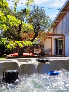 a pool of water in a yard with a tree at La Maison Bisca in Biscarrosse-Plage +42 photos