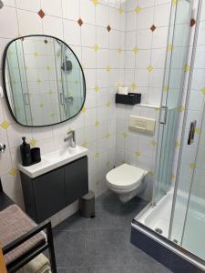 a bathroom with a toilet and a sink and a mirror at Apartments Papilon in Vrsar +13 photos