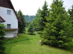 a yard with a pine tree next to a house at Holiday Home near Klínovec Ski Lift in Loučná pod Klínovcem