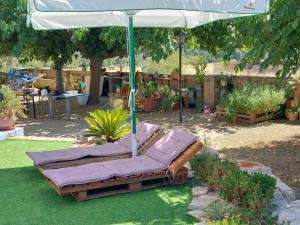 a couple of beds under an umbrella in a yard at Appartement Casita in Ontinyent