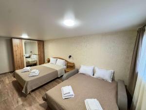 a hotel room with two beds and a mirror at House Lia Apartment Likani in Borjomi