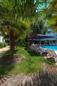 a pool with a bunch of chairs and a palm tree at Yassen Holiday Village in Sunny Beach