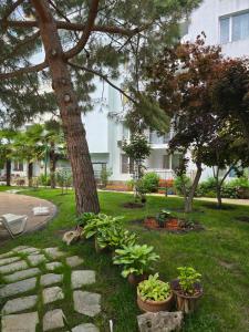 a tree and some plants in a yard at Yassen Holiday Village in Sunny Beach