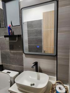 a bathroom with a sink and a mirror and a toilet at Rieyo Homes 2 Bedrooms near Airport & SGR Train Station in Nairobi