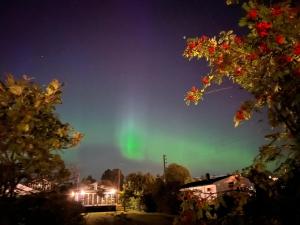 an aurora in the sky over a house with trees at Modern Apartments in Tønsberg