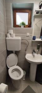 a small bathroom with a toilet and a sink at Apartmani Kaja in Vantačići