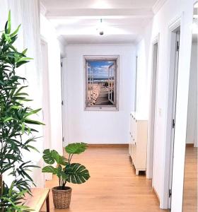 Imagen de la galería de A1 Ático O Grove Centro con terraza y parking, en O Grove