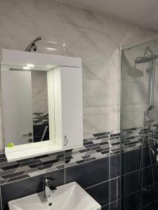 a bathroom with a sink and a mirror and a shower at Stan na dan in Niš
