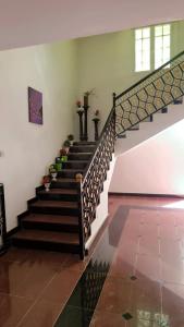 Gallery image of Niaz Group in Mawāliḩ