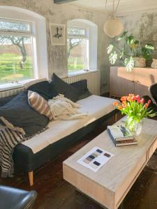 BallenNature Retreat With Sea View Near Ballen On Samsø的客厅配有床和茶几