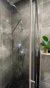 a shower with a glass door in a bathroom at Family apartments N5 in Chernivtsi