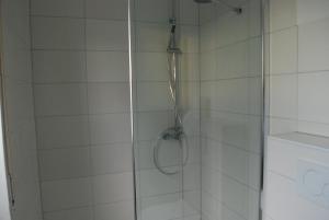 eine Dusche mit Glastür im Bad in der Unterkunft 1A Ferienwohnung Bamberg in Bamberg