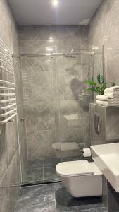 a bathroom with a shower with a toilet and a sink at Двох рівнях апартамент для 3 осіб N1 in Chernivtsi