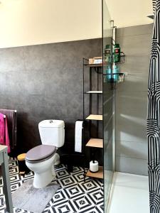 a bathroom with a toilet and a shower at villa de canet 66 in Canet-en-Roussillon