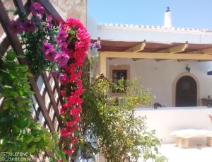 a bunch of flowers on the side of a house at Harmony at Trifilianika in Trifilliánika