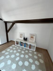a room with a book shelf and a rug at Maison cosy - salle de jeux, cinéma et jacuzzi in Ittenheim +12 photos