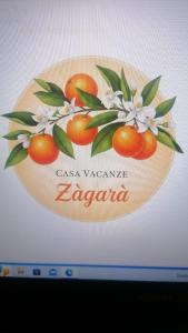 Sijil, anugerah, tanda atau dokumen lain yang dipamerkan di Casa Zàgará
