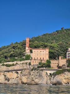 un castillo en la cima de una colina junto al agua en Cà in scia maina, en Borghetto Santo Spirito
