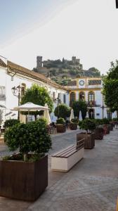 een binnenplaats met banken en bomen voor een gebouw bij Alojamiento Carioca in Almodóvar del Río +13 foto's