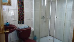 a bathroom with a shower and a toilet and a sink at Hostal Patagonico in Punta Arenas +5 photos