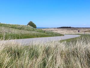 a walkway through a field of tall grass at Secluded Retreat near Beach - By Traum Ferienwohnungen in Vigsø +22 photos
