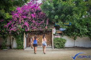 Επισκέπτες που μένουν στο Viejamar B&B