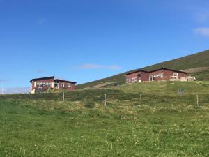two houses on a hill in a field at Vestmannsvatn Guesthouse in Aðaldalur