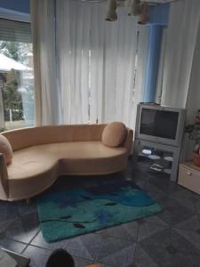 TV a/nebo společenská místnost v ubytování Fehér Hintó