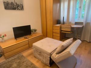 TV a/nebo společenská místnost v ubytování Studio-Apartment