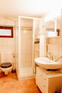 a bathroom with a toilet and a sink at Casa Leyian - Brissago in Brissago +32 photos