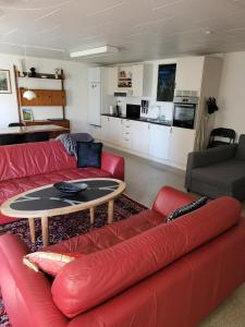 Η κουζίνα ή μικρή κουζίνα στο Nice and cheap apartment, Torshavn