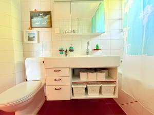 a bathroom with a sink and a toilet at Gästehaus Sonne in Zuchwil +37 photos