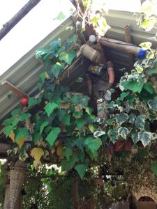 Fotografie z fotogalerie ubytování Hostel Martvili Tasia v destinaci Martvili + 25 fotografií