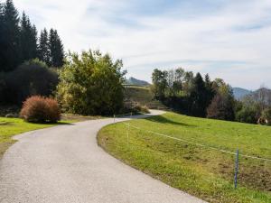 a winding road in the middle of a field at Alpine Hut in Eberstein near Ski Area in Eberstein